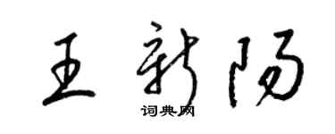 梁錦英王新陽草書個性簽名怎么寫