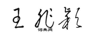 駱恆光王非穎草書個性簽名怎么寫