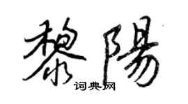 王正良黎陽行書個性簽名怎么寫