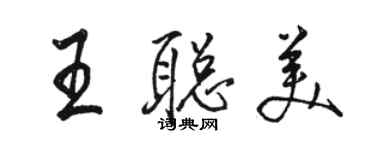 駱恆光王聰美行書個性簽名怎么寫