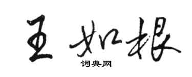 駱恆光王如根行書個性簽名怎么寫