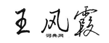駱恆光王風霞行書個性簽名怎么寫