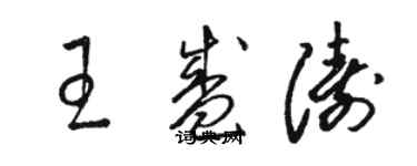 駱恆光王盛濤草書個性簽名怎么寫