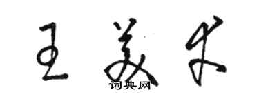 駱恆光王美幸草書個性簽名怎么寫