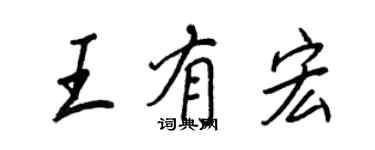 王正良王有宏行書個性簽名怎么寫