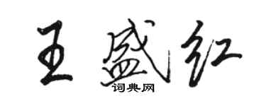 駱恆光王盛紅行書個性簽名怎么寫