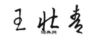 駱恆光王壯青草書個性簽名怎么寫