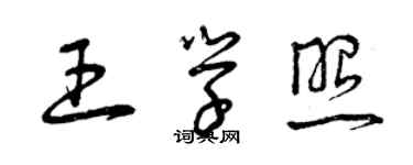 曾慶福王學照草書個性簽名怎么寫