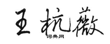 駱恆光王杭薇行書個性簽名怎么寫