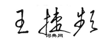 駱恆光王捷頻草書個性簽名怎么寫