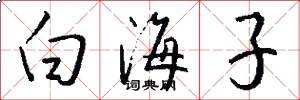 白海子怎么寫好看