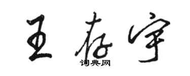 駱恆光王存宇行書個性簽名怎么寫