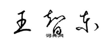 梁錦英王智東草書個性簽名怎么寫