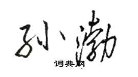 駱恆光孫渤行書個性簽名怎么寫