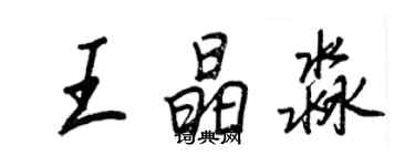 王正良王晶淼行書個性簽名怎么寫