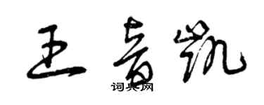 曾慶福王音凱草書個性簽名怎么寫