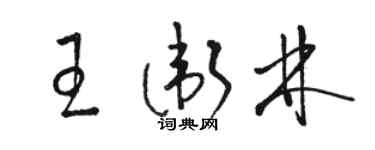 駱恆光王衛林草書個性簽名怎么寫