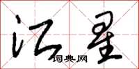 朱錫榮江星草書怎么寫