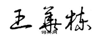 曾慶福王華棟草書個性簽名怎么寫
