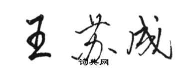 駱恆光王蘇成行書個性簽名怎么寫