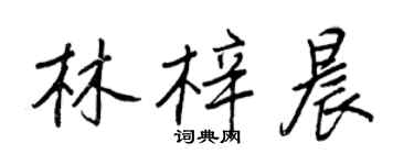 王正良林梓晨行書個性簽名怎么寫