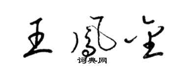 梁錦英王鳳金草書個性簽名怎么寫