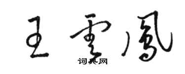 駱恆光王雲鳳草書個性簽名怎么寫