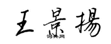 王正良王景揚行書個性簽名怎么寫