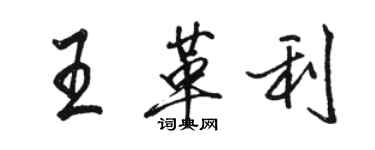 駱恆光王革利行書個性簽名怎么寫