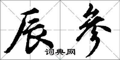 胡問遂辰參行書怎么寫