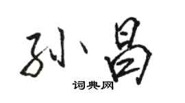 駱恆光孫昌行書個性簽名怎么寫