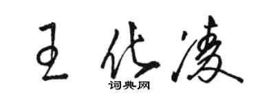 駱恆光王化凌草書個性簽名怎么寫