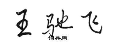 駱恆光王馳飛行書個性簽名怎么寫