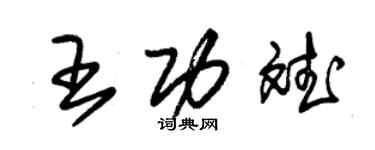 朱錫榮王功斌草書個性簽名怎么寫