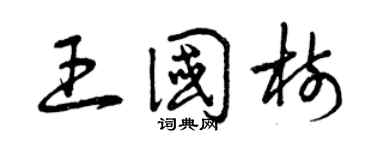 曾慶福王國樹草書個性簽名怎么寫