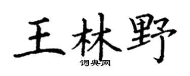 丁謙王林野楷書個性簽名怎么寫