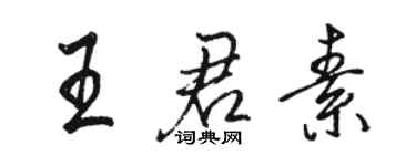 駱恆光王君素行書個性簽名怎么寫