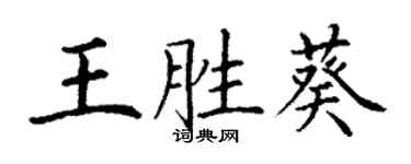 丁謙王勝葵楷書個性簽名怎么寫