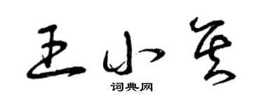 曾慶福王小其草書個性簽名怎么寫