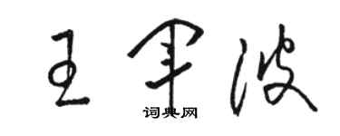 駱恆光王軍波草書個性簽名怎么寫