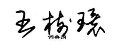 朱錫榮王樹環草書個性簽名怎么寫