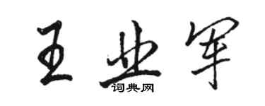 駱恆光王業軍行書個性簽名怎么寫