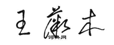 駱恆光王薇木草書個性簽名怎么寫