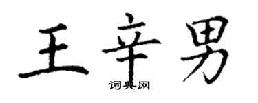 丁謙王辛男楷書個性簽名怎么寫