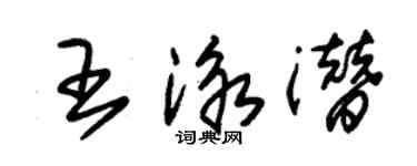 朱錫榮王泳潛草書個性簽名怎么寫