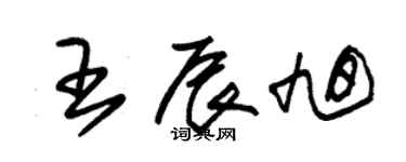 朱錫榮王辰旭草書個性簽名怎么寫