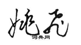 駱恆光姚飛草書個性簽名怎么寫
