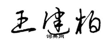 曾慶福王健柏草書個性簽名怎么寫