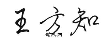 駱恆光王方知行書個性簽名怎么寫