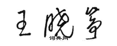 駱恆光王曉箏草書個性簽名怎么寫